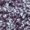508 lilac